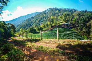 BIB: 
                            <button type="button" onclick="openModal(19153306)" class="btn btn-primary btn-sm float-right btn-popup" data-toggle="modal" data-target=".modal-high-quality">
                        <i class="fas fa-shopping-cart"></i> Add to Cart
                    </button>
                                            <button type="button" onclick="isThisMe(19153306, true)" class="btn btn-success btn-sm float-right btn-popup btn-isme hidden" data-toggle="tooltip" data-placement="bottom" title="นี่คือรูปของคุณใช่ไหม คลิกที่นี่เพื่อเอาเข้าอัลบั้ม">
                        <i class="fas fa-plus"></i> Add to album
                    </button>
                    <button type="button" onclick="isThisMe(19153306, false)" class="btn btn-warning btn-sm float-right btn-popup btn-isnotme hidden">
                        <i class="fas fa-ban"></i> Remove from album
                    </button>